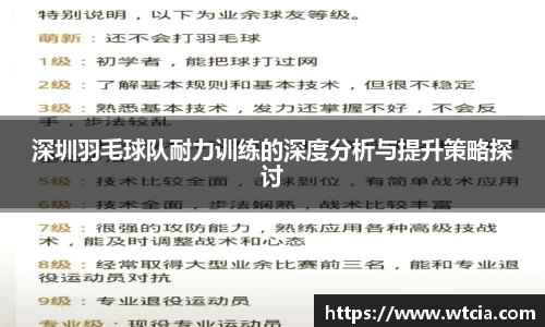 深圳羽毛球队耐力训练的深度分析与提升策略探讨