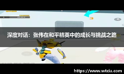 深度对话：张伟在和平精英中的成长与挑战之路