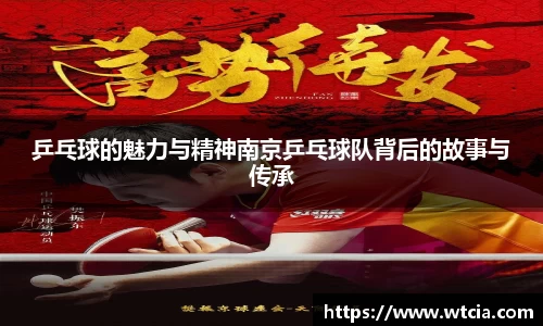 乒乓球的魅力与精神南京乒乓球队背后的故事与传承