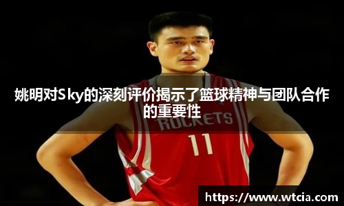 姚明对Sky的深刻评价揭示了篮球精神与团队合作的重要性