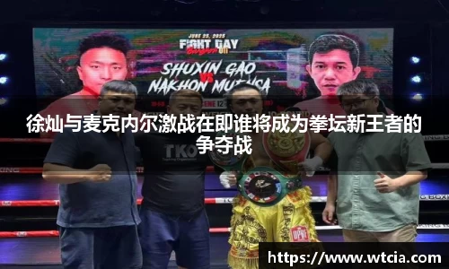 徐灿与麦克内尔激战在即谁将成为拳坛新王者的争夺战