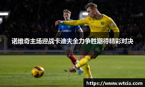mk体育平台
